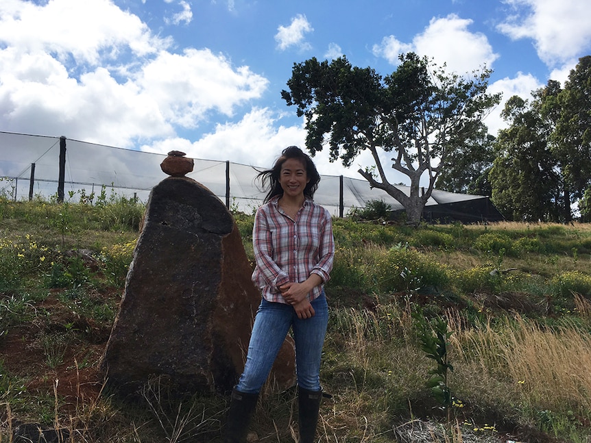 Boon Luck Farm: From Tyagarah paddock to Thai plate
