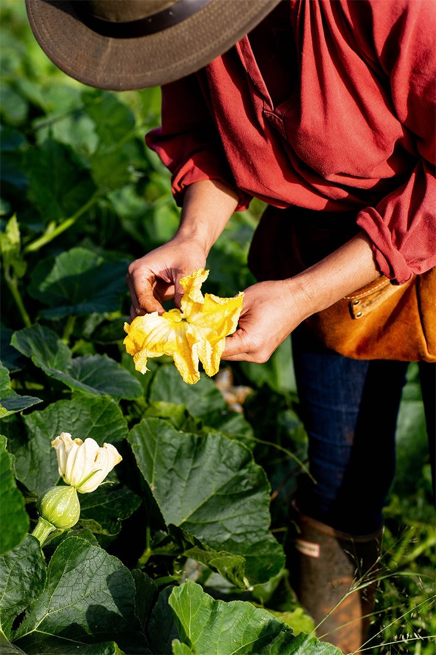 Boon Luck Farm landscape and produce
