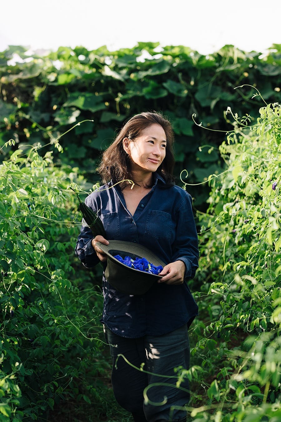 Organic farming at Boon Luck Farm