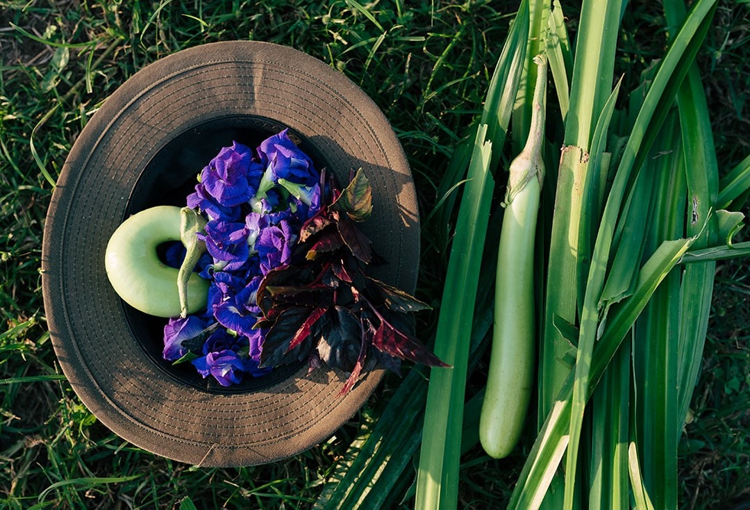 Sustainable farming practices at Boon Luck Farm
