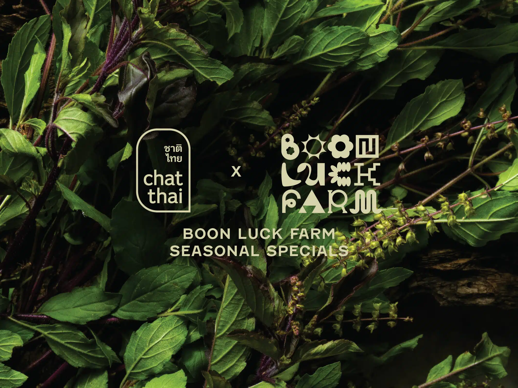BOON LUCK FARM ORGANICS SEASONAL SPECIALS